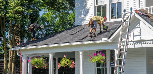 Best Roof Gutter Cleaning  in Post Falls, ID